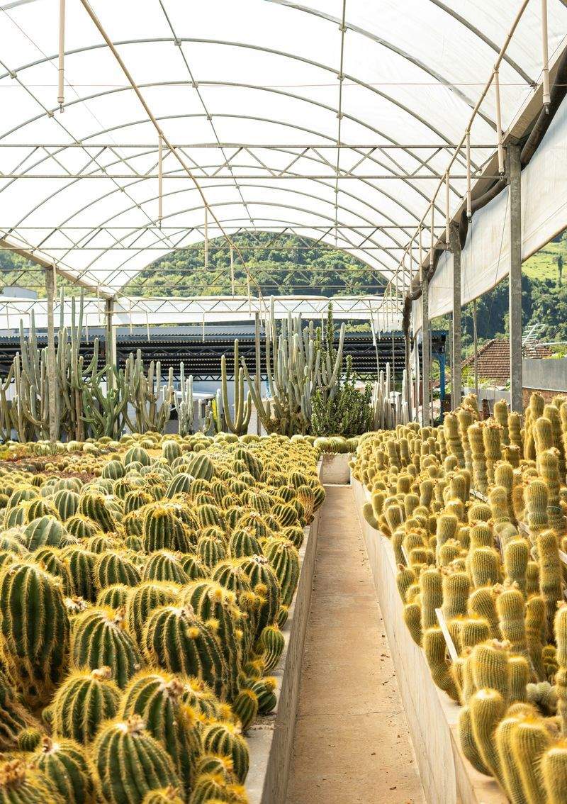 La importancia del seguimiento durante todo el ciclo del cultivo